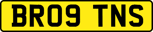 BR09TNS