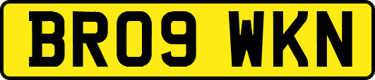 BR09WKN