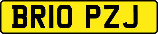 BR10PZJ