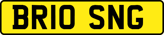 BR10SNG