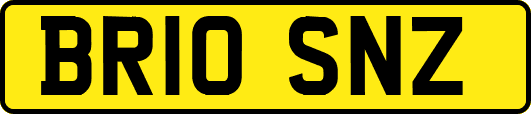BR10SNZ