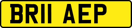 BR11AEP