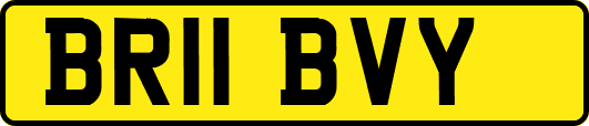 BR11BVY