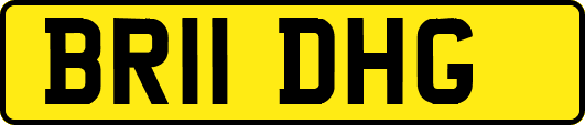 BR11DHG