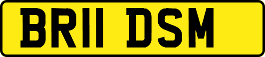 BR11DSM
