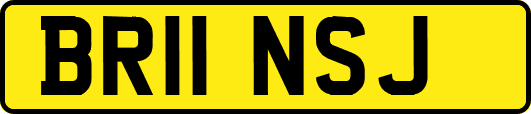 BR11NSJ
