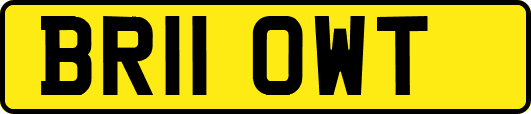 BR11OWT