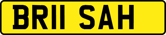 BR11SAH