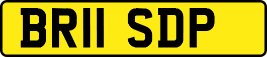 BR11SDP