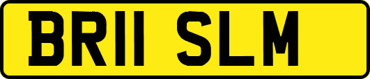 BR11SLM