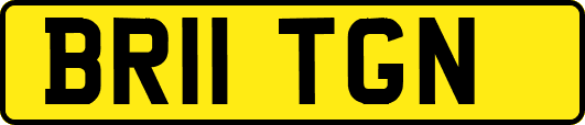 BR11TGN