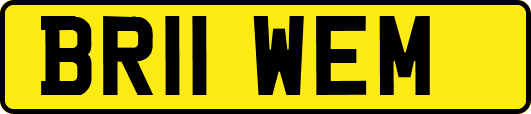 BR11WEM