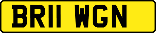 BR11WGN