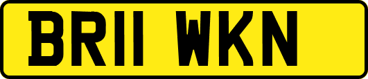 BR11WKN