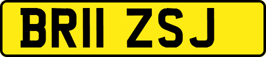 BR11ZSJ