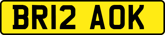 BR12AOK