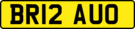 BR12AUO