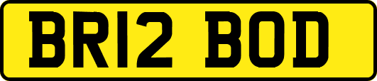 BR12BOD