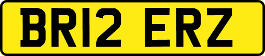 BR12ERZ