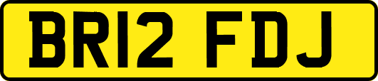 BR12FDJ