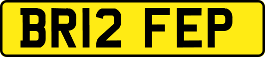 BR12FEP