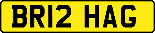 BR12HAG