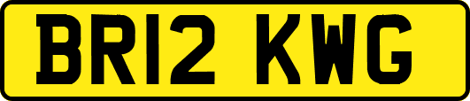 BR12KWG