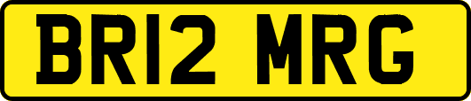 BR12MRG
