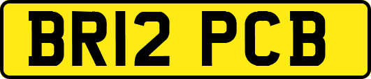 BR12PCB