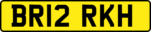 BR12RKH