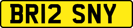 BR12SNY