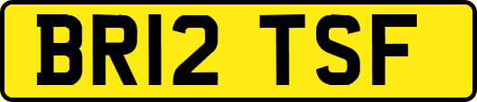 BR12TSF