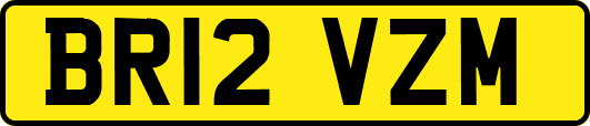 BR12VZM