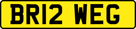 BR12WEG