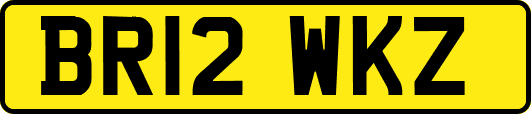 BR12WKZ