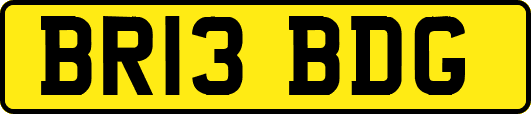 BR13BDG