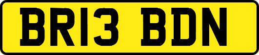 BR13BDN