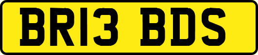 BR13BDS