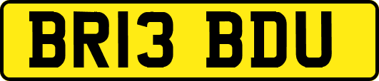 BR13BDU