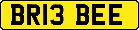 BR13BEE
