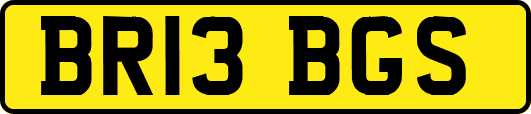 BR13BGS