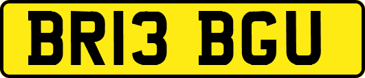 BR13BGU