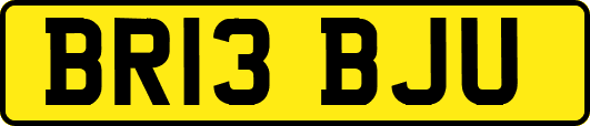 BR13BJU