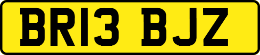 BR13BJZ