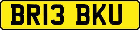 BR13BKU