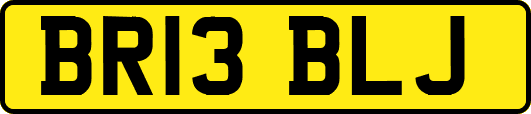 BR13BLJ