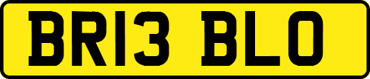 BR13BLO