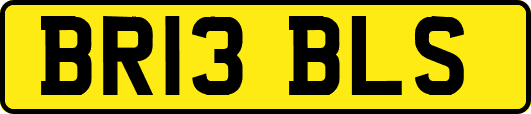 BR13BLS