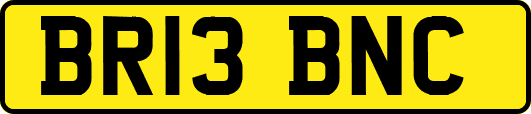 BR13BNC