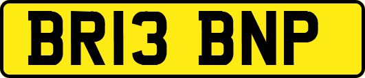 BR13BNP